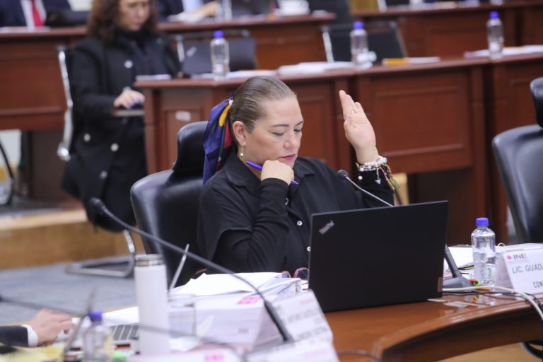 Guadalupe Taddei Zavala, Consejera Presidenta.