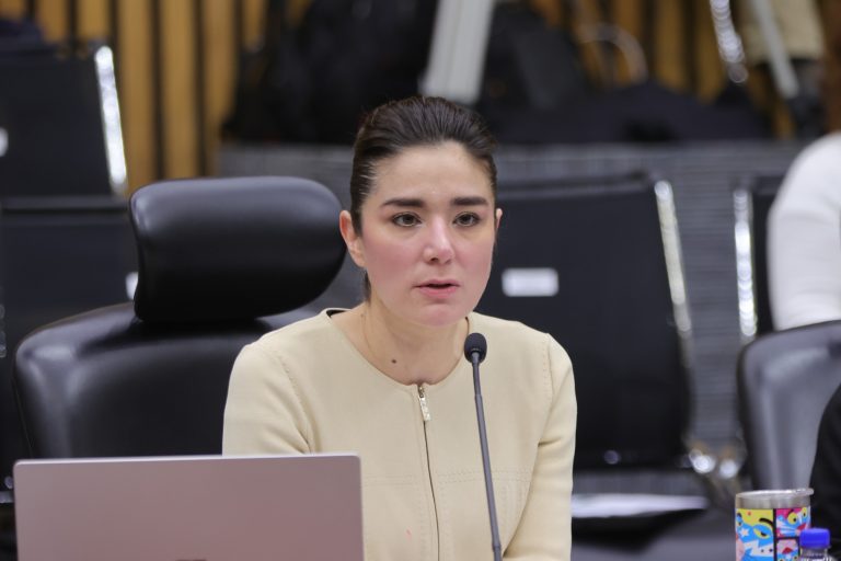 Dania Ravel cuevas, Consejera Electoral.