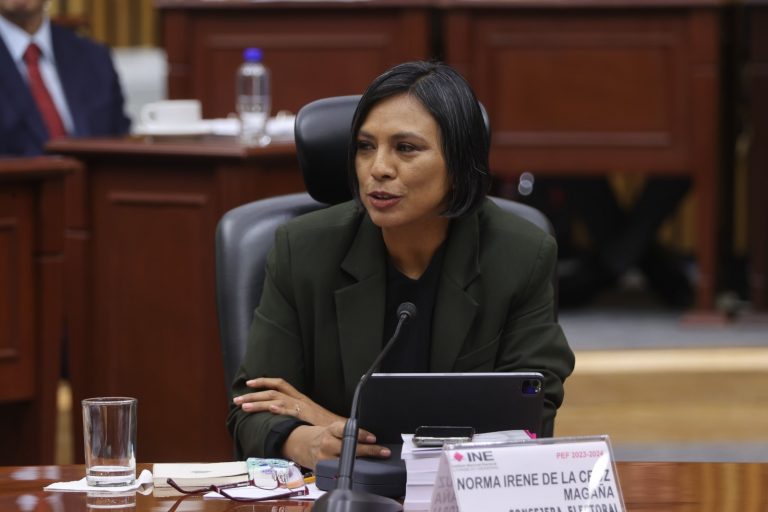 Norma Irene De La Cruz Magaña, consejera Electoral