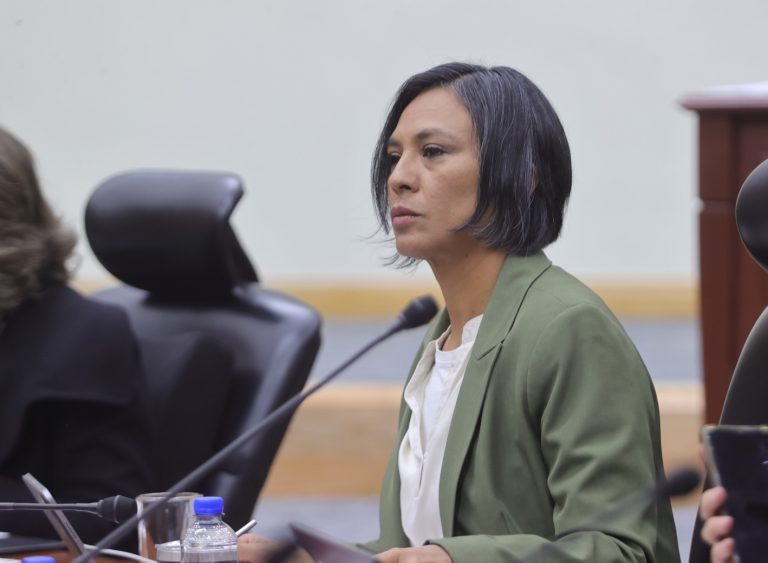 Norma Irene De La Cruz Magaña, consejera Electoral.