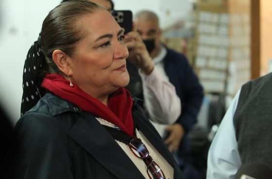 Consejera Presidenta, Guadalupe Taddei