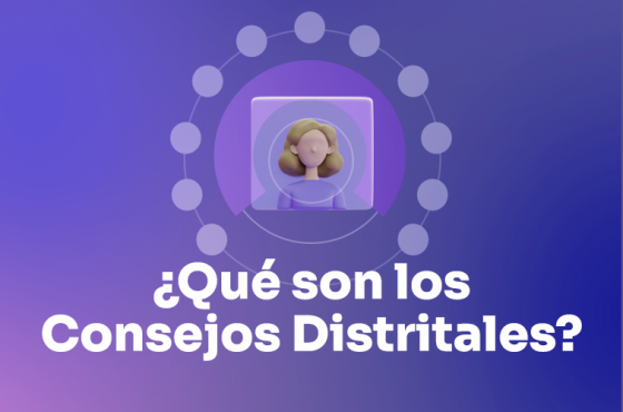 ¿Qué son los Consejos Distritales?