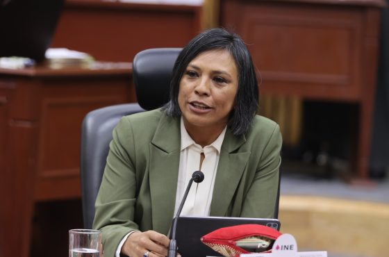 Norma Irene De La Cruz Magaña, Consejera Electoral.