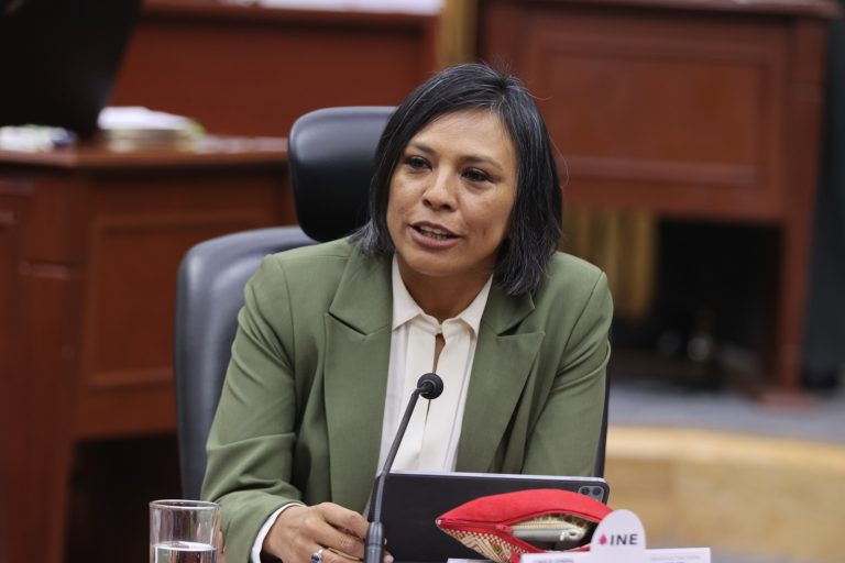 Norma Irene De La Cruz Magaña, Consejera Electoral.