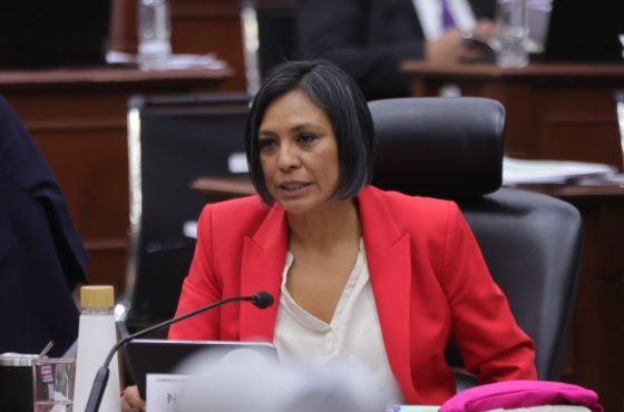 Norma Irene De La Cruz Magaña, Consejera Electoral