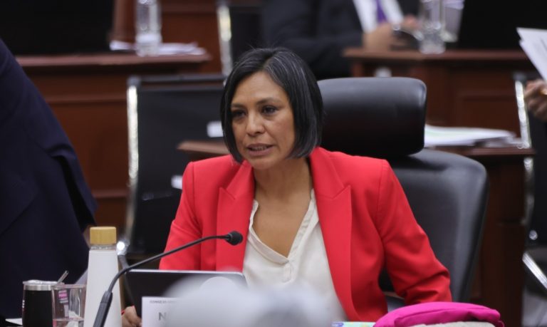 Norma Irene De La Cruz Magaña, Consejera Electoral