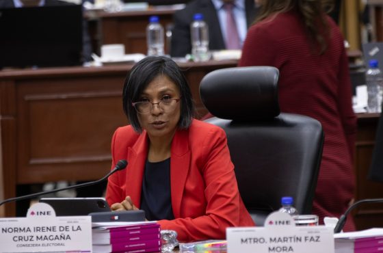 Norma Irene De La Cruz Magaña, Consejera Electoral