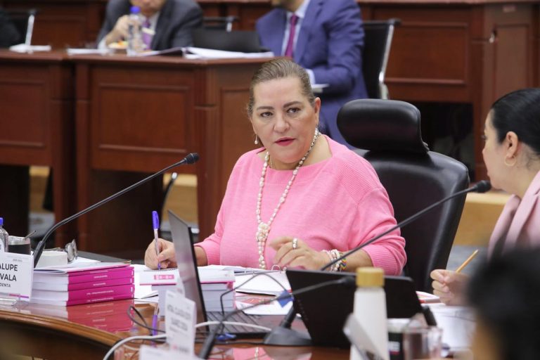 Guadalupe Taddei Zavala, Consejera Presidenta.