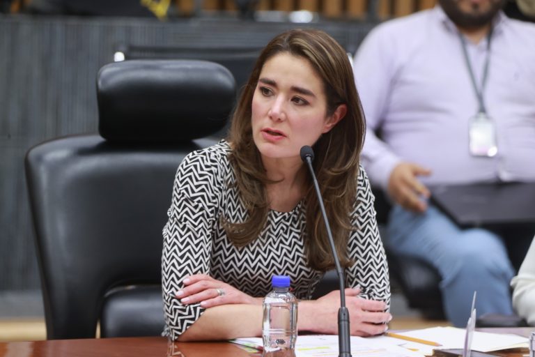 Dania Ravel Cuevas, Consejera Electoral