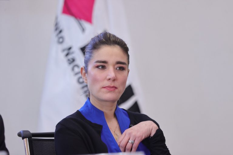 Dania Ravel Cuevas, Consejera Electoral.