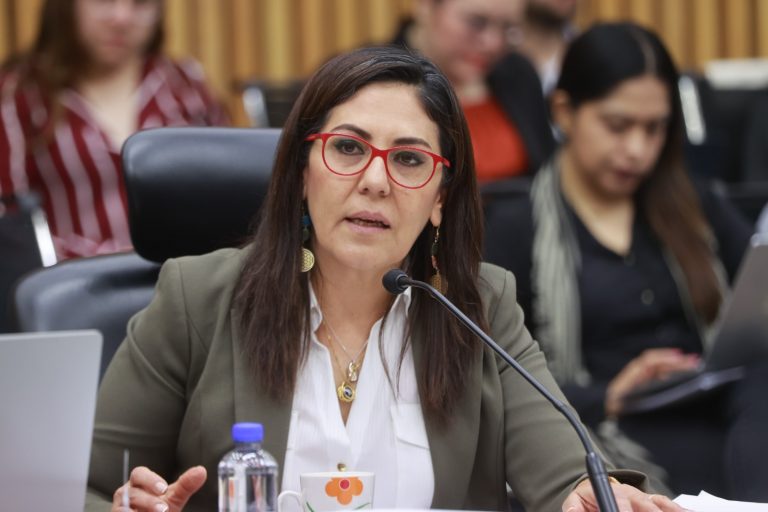 Claudia Zavala Pérez, Consejera Electoral.