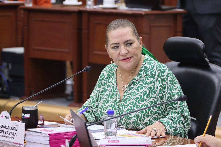 Guadalupe Taddei, Consejera Presidenta del INE