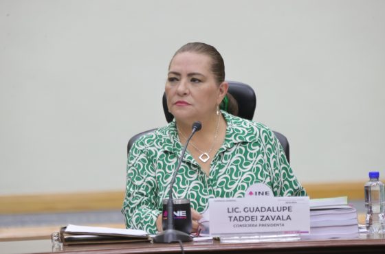 Guadalupe Taddei Zavala, Consejera Presidenta