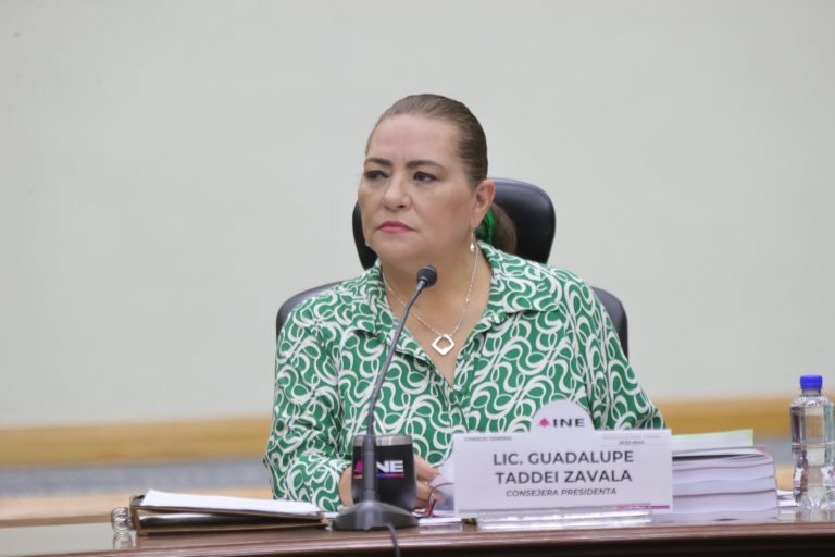 Guadalupe Taddei Zavala, Consejera Presidenta