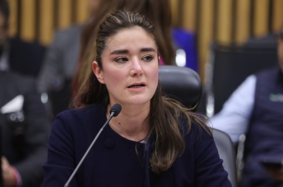 Dania Ravel Cuevas, Consejera Electoral