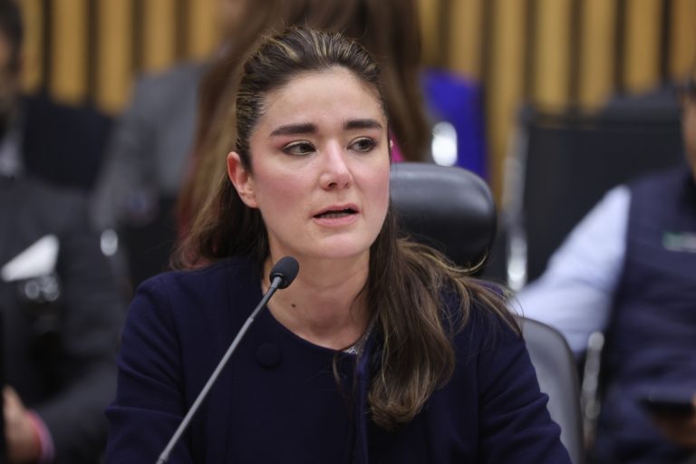 Dania Ravel Cuevas, Consejera Electoral