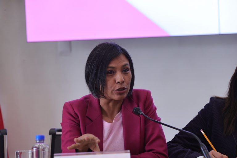 Norma Irene De La Cruz Magaña, Consejera Electoral.