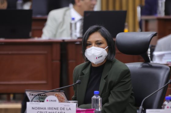 Norma Irene De La Cruz Magaña, Consejera Electoral