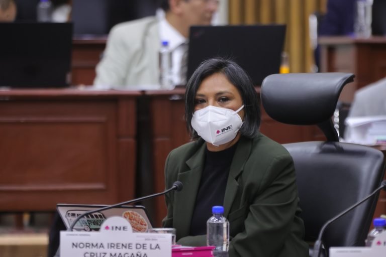 Norma Irene De La Cruz Magaña, Consejera Electoral