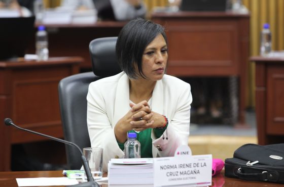 Norma Irene De La Cruz Magaña, Consejera Electoral