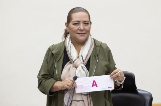 Guadalupe Taddei, Consejera Presidenta del INE