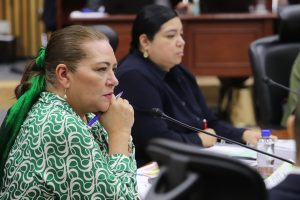 Consejera Presidenta del INE, Guadalupe Taddei