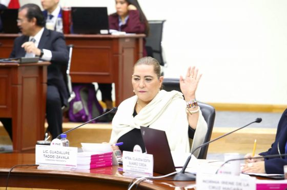 Guadalupe Taddei, Consejera Presidenta