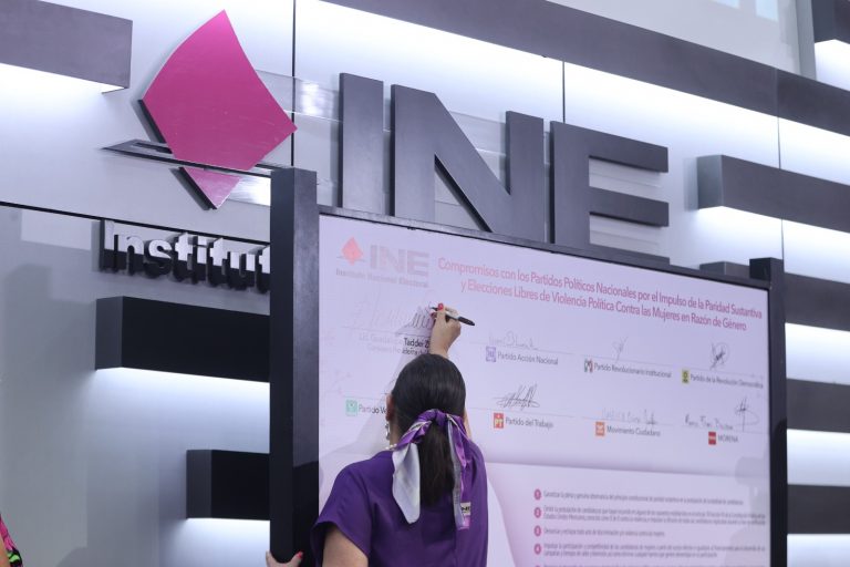 Guadalupe Taddei Zavala, Consejera Presidenta del INE