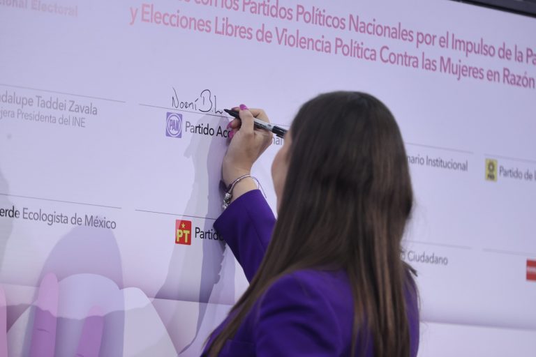 Noemi Berenice Luna Ayala, PAN