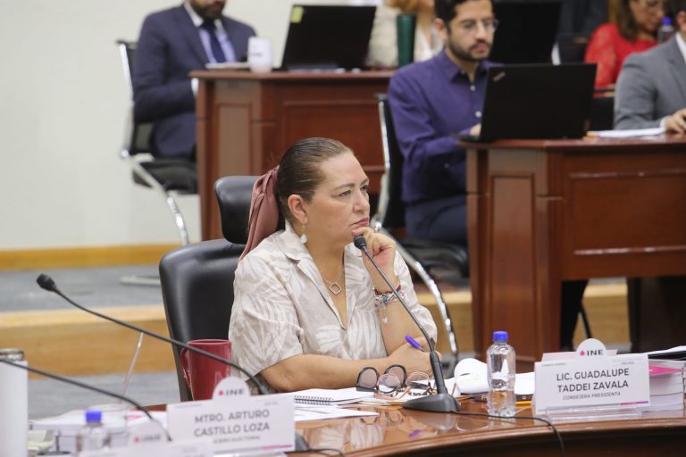 Guadalupe Taddei Zavala, Consejera Presidenta