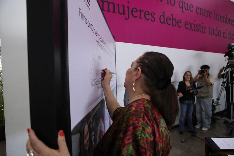 Guadalupe Taddei Zavala, Consejera Presidenta del INE.