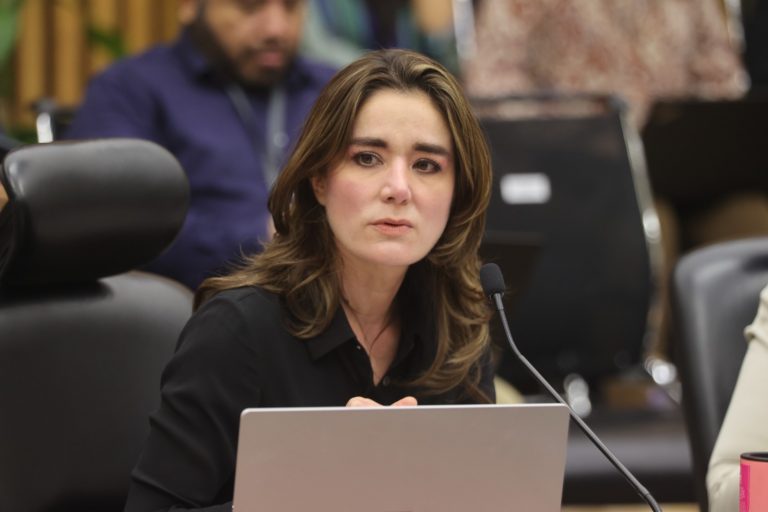 Dania Ravel Cuevas, Consejera Electoral.