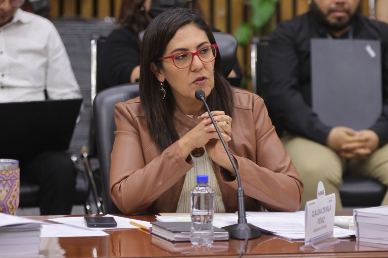 Claudia Zavala Pérez, Consejera Electoral.