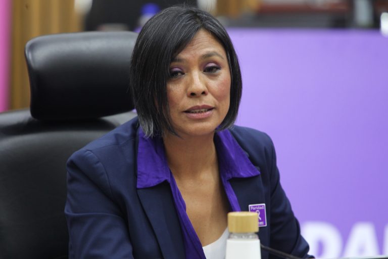 Norma De La Cruz, Consejera Electoral