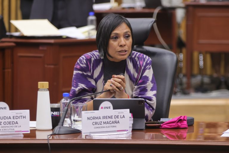 Norma Irene De La Cruz Magaña, Consejera Electora