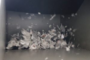 Credenciales para votar pulverizadas en máquina