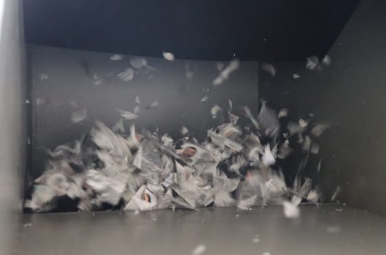 Credenciales para votar pulverizadas en máquina