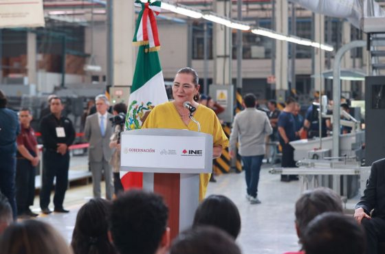 Consejera Presidenta, Guadalupe Taddei