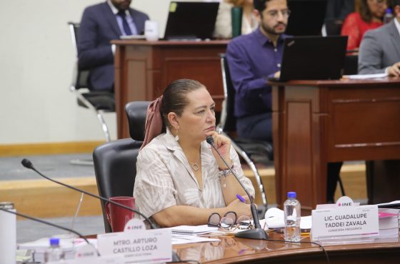 Consejera Presidenta del INE, Guadalupe Taddei