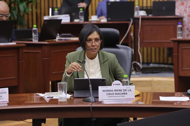 Norma Irene De La Cruz Magaña, Consejera Electoral.