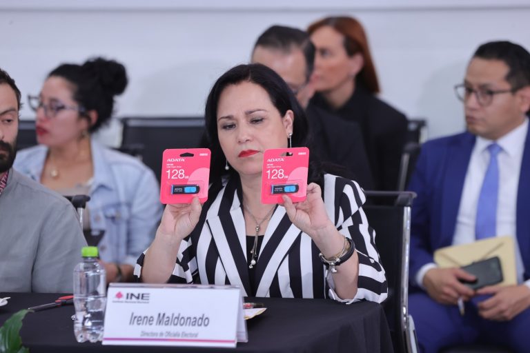 Irene Maldonado Cavazos, Directora del Secretariado del INE.