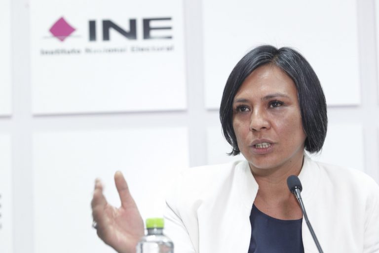 Norma Irene De La Cruz Magaña, Consejera Electoral