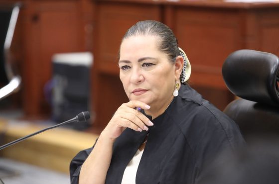 Consejera Presidenta del INE, Guadalupe Taddei