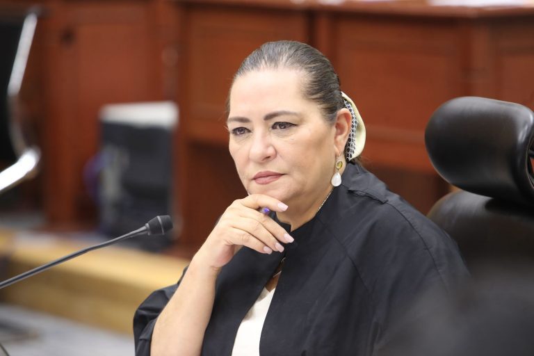 Consejera Presidenta del INE, Guadalupe Taddei