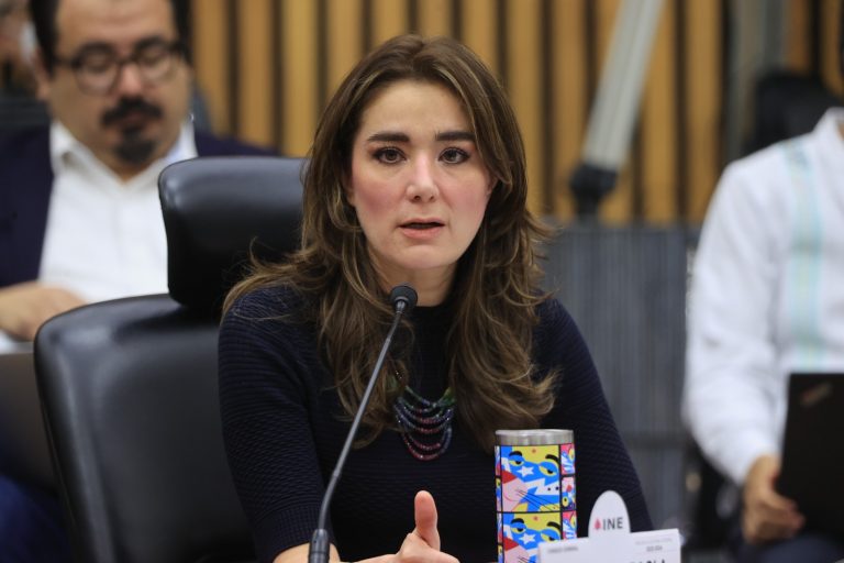 Dania Ravel, Consejera Electoral