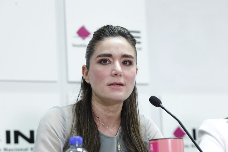 Dania Ravel, Conejera Electoral