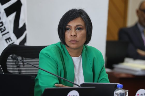 Norma Irene De La Cruz Magaña, Consejera Electoral