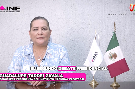 Consejera Presidenta, Guadalupe Taddei