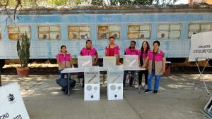 Capacitadores en taller de capacitación