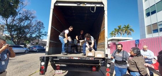 Descarga de material electoral